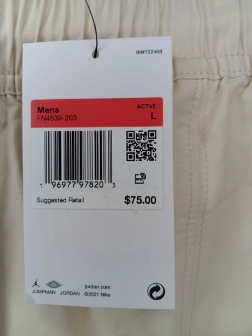 Nike Air Jordan Essentials Premium Woven Pants Khaki Size Large - Picture 12 of 12